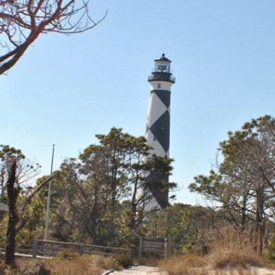 trees in front of Cape Lookout lighthouse