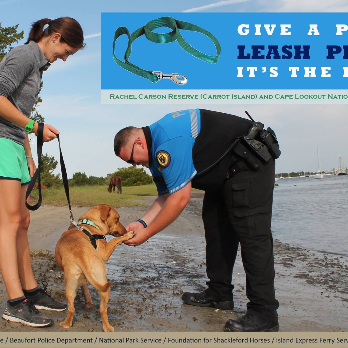 give a paw - leash pets poster