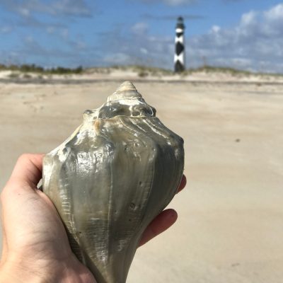 a person standing on top of a sandy beach