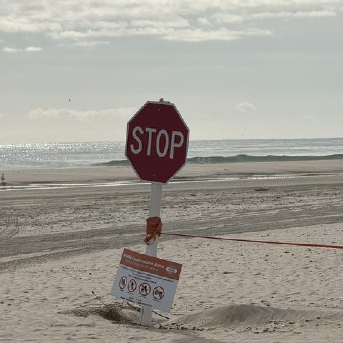 A stop sign on a sandy beach with ocean waves in the background.